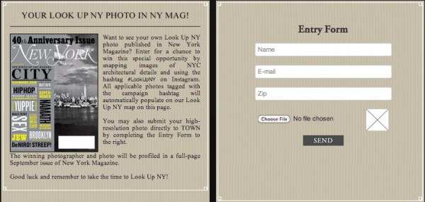 look up ny photo contest entry form